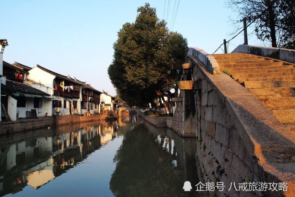 奔跑的兔子